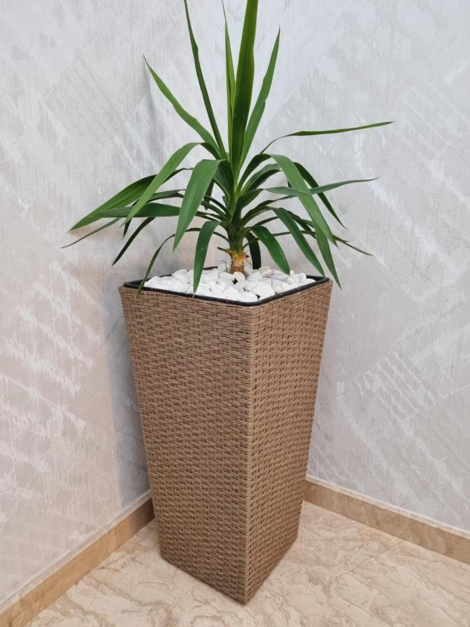 Hotel Autograph Dedoplis Tskaro Zewnętrze zdjęcie